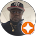 moses harden review
